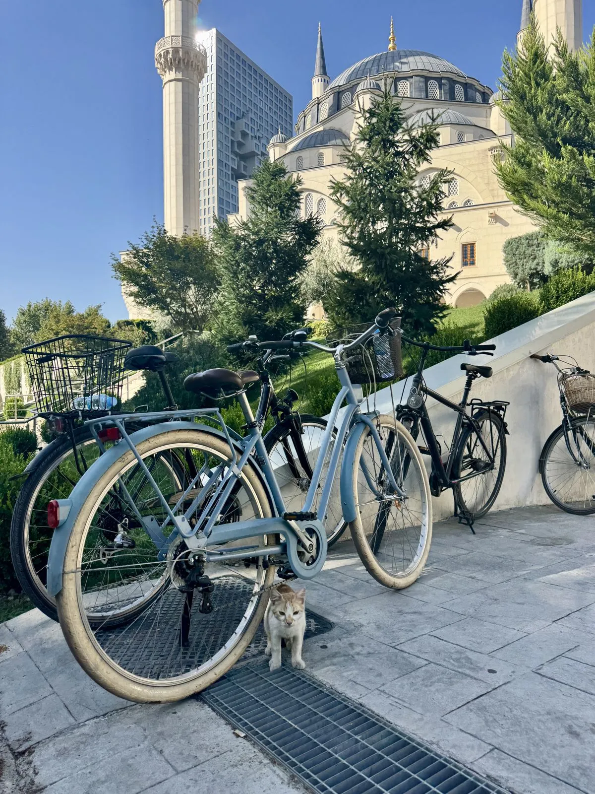 A light grey cruiser bicycle parked on a tiled walkway with a small grey kitten sitting near the front wheel and a mosque in the background