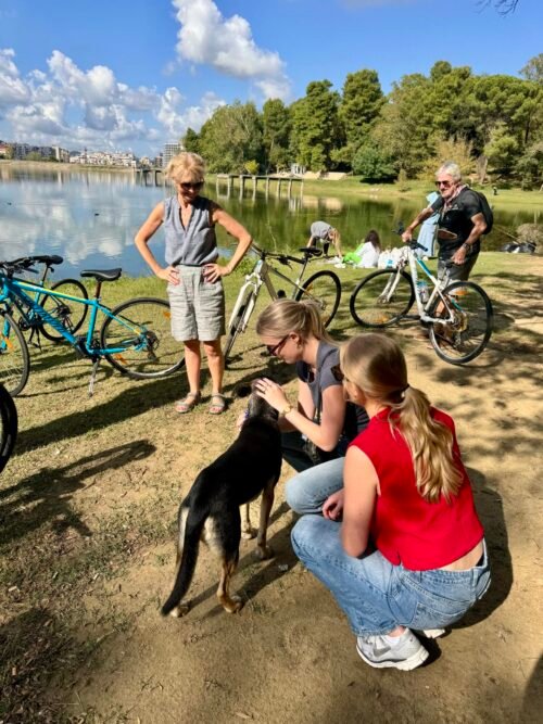Rent a Bike & E-Bike in Tirana – 2026 Bike Rental Rates & Tours