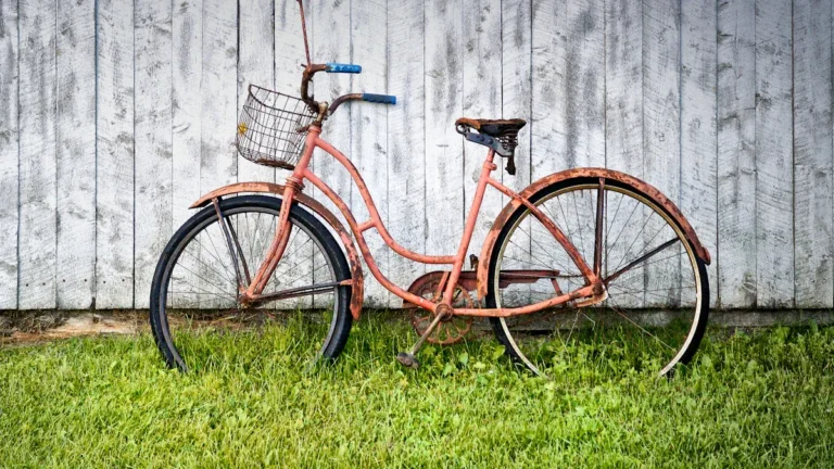 What Sets a Bike Beach Cruiser Apart from Other Bikes?