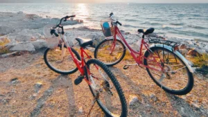 Discover the Unique Features of Beach Cruiser Bicycles