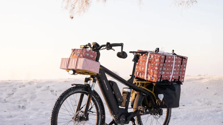 25 Affordable Bike Gifts Under $50 for Every Cyclist