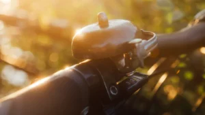 Which Bicycle Bell Is Best for You Classic, Digital, or Horn
